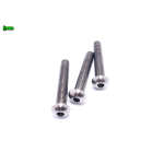 M10 TYTANOWE ŚRUBY GRADE 5 Ti6Al4V ISO 7380